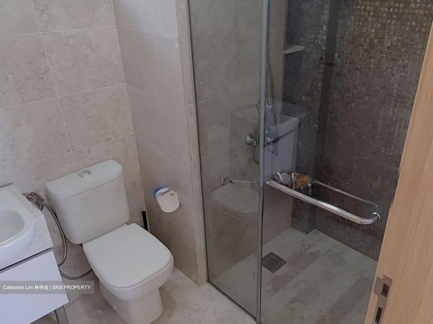 La Fiesta (D19), Condominium #530307661